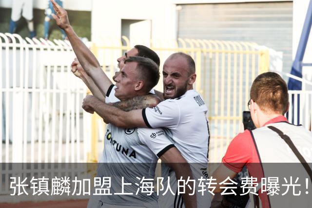 张镇麟加盟上海队的转会费曝光！